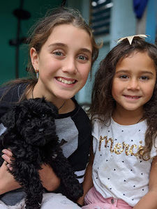 Meet your Posher, Armani